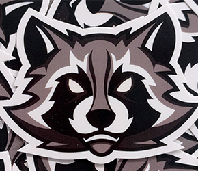 Portfolio Project Image